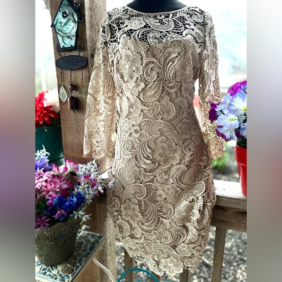 Adrianna Papell Dresses & Skirts - Adrianna Papell Elegant Palest Beige Lace Overlay Back Zip 3/4 Sleeves Dress 10